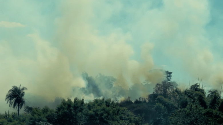 кадр из фильма O Homem que Fotografava Árvores