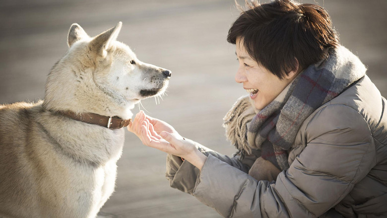 кадр из фильма 화장