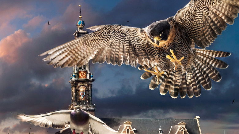 кадр из фильма Город глазами кота