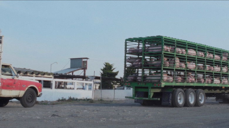 кадр из фильма Lo que queda