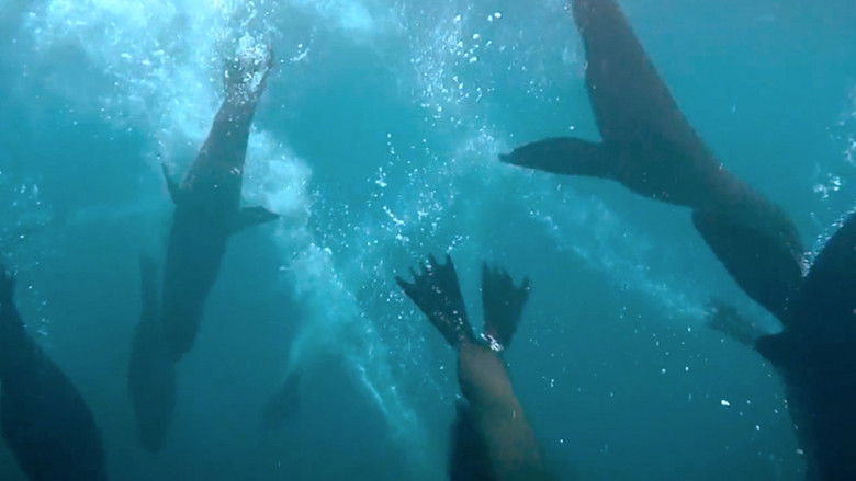 кадр из фильма Sincronía