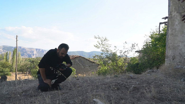 кадр из фильма Cin Tepesi