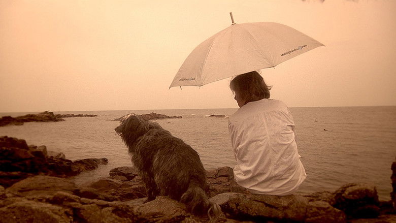 кадр из фильма Skyggen af en helt