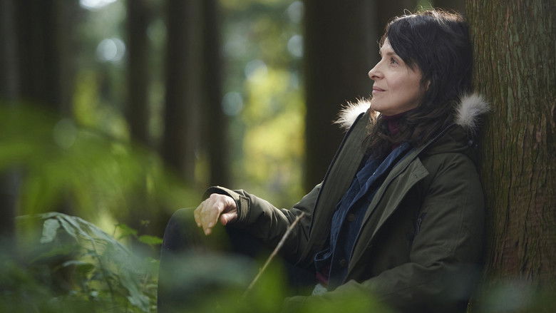 кадр из фильма Видение