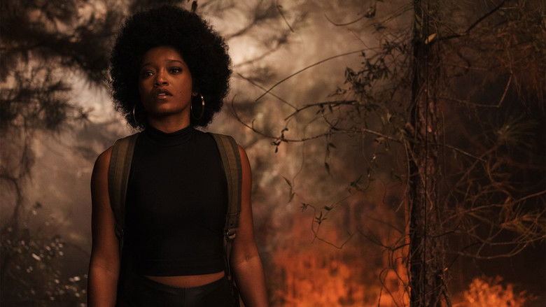 кадр из фильма Элис