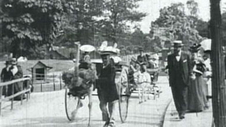 кадр из фильма Autruches