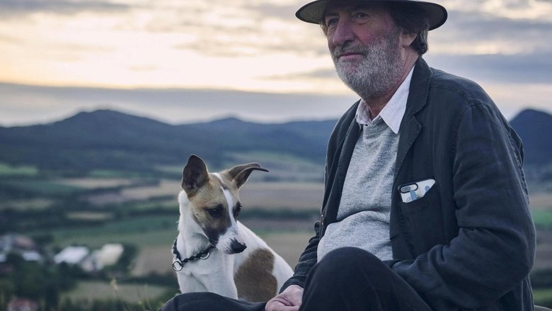 кадр из фильма Невероятные приключения Гампи