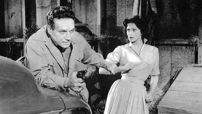 кадр из фильма The Man Is Armed