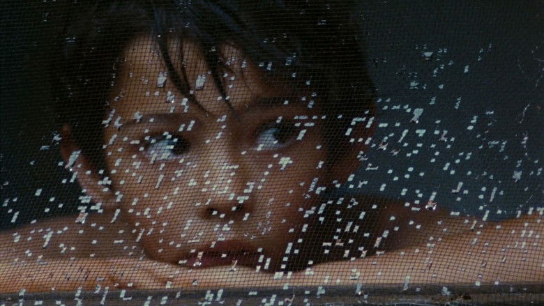 кадр из фильма Argentyńska lekcja