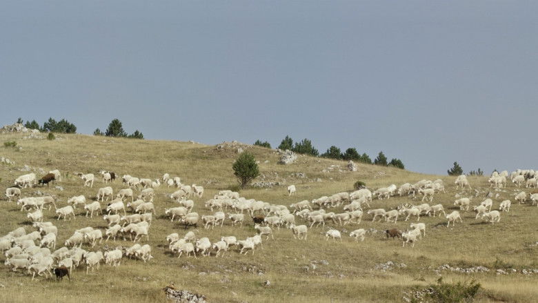 кадр из фильма Стоять ровно