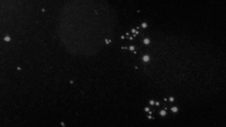 кадр из фильма The World