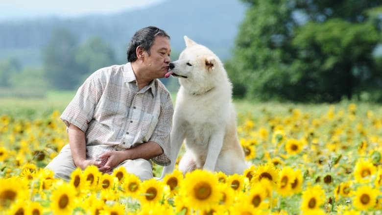 кадр из фильма 星守る犬