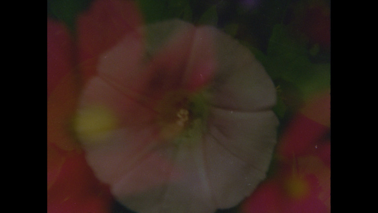 кадр из фильма Ahora y en la hora de nuestra muerte