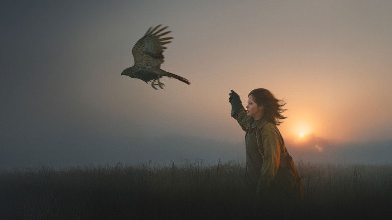 Я — значит Ястреб