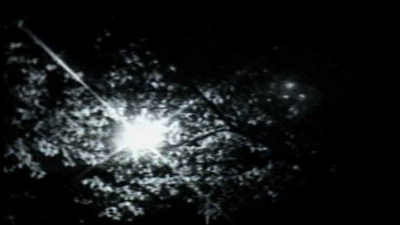 кадр из фильма 4:44 (from her house home)