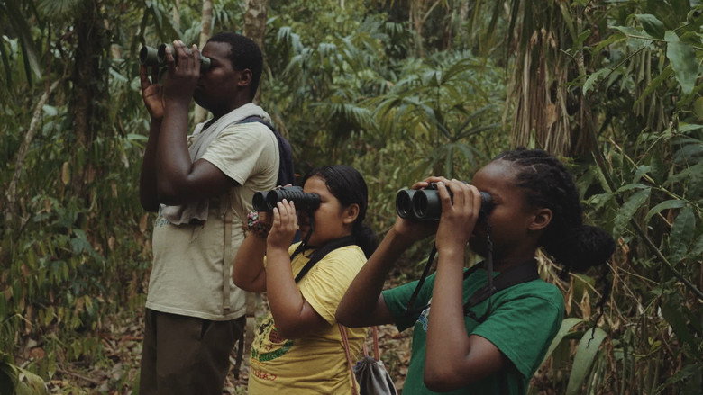 кадр из фильма La selva maya: Cuando un tapir te observa