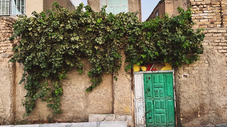 кадр из фильма Zendegi