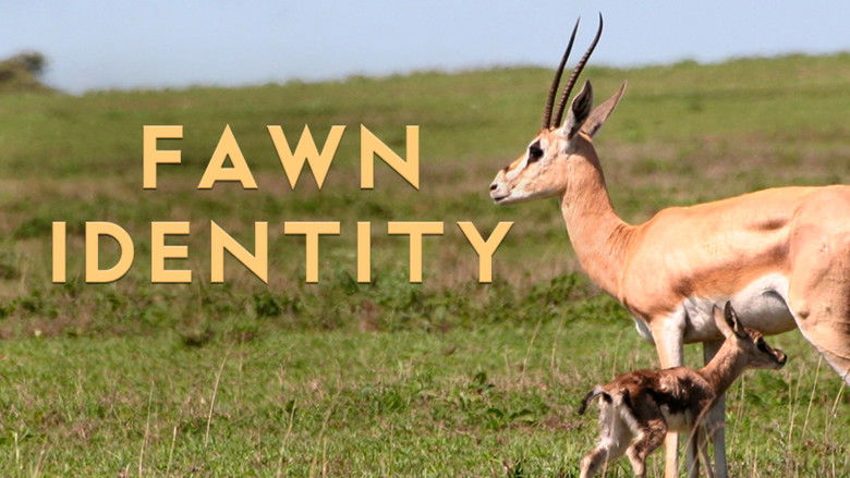 кадр из фильма Fawn Identity