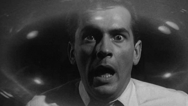 кадр из фильма Культ кобры