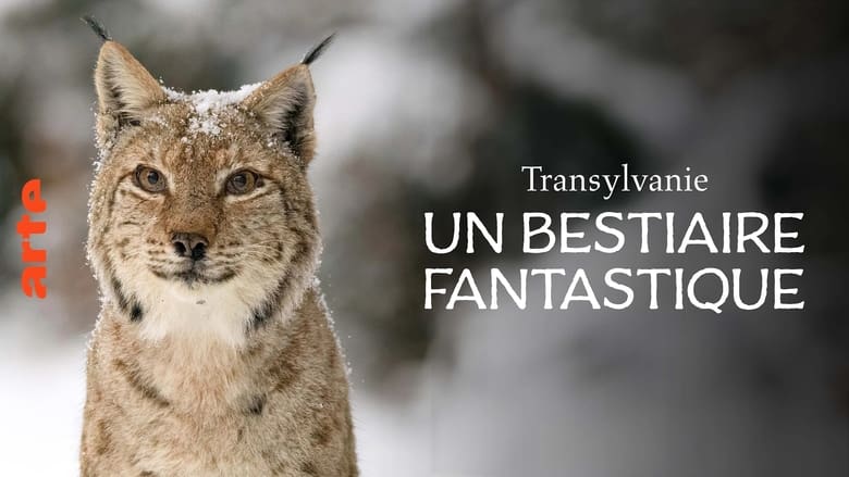 кадр из фильма Transylvanie, un bestiaire fantastique