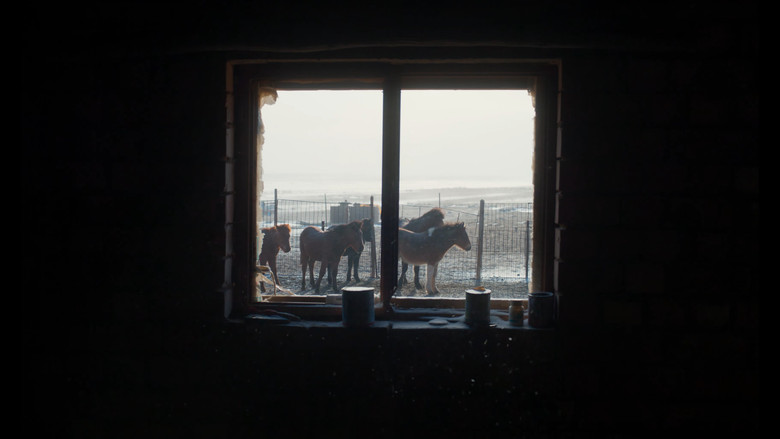 кадр из фильма Убить монгольскую лошадь