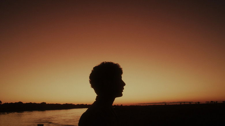 кадр из фильма Filhos do Litoral Central