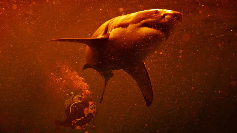 кадр из фильма Sharkcano: Hawaii