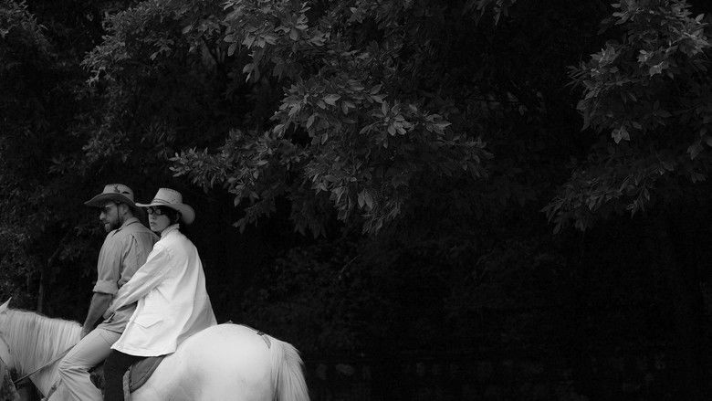 кадр из фильма 只是一次偶然的旅行