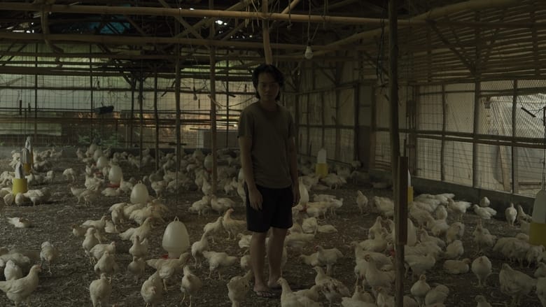 кадр из фильма Ayam Maya