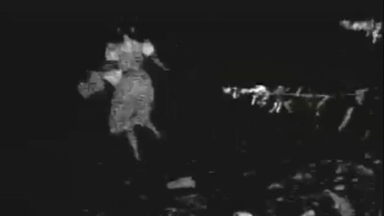 The Oz Witch Project