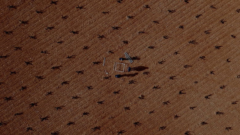 кадр из фильма STRATA INCOGNITA