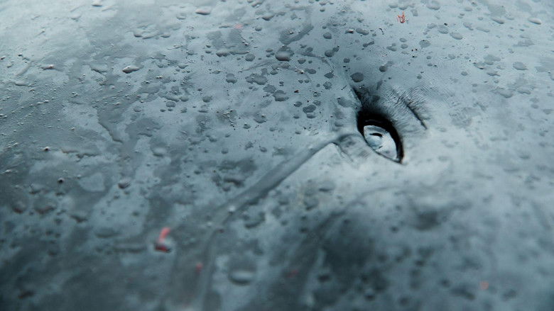 кадр из фильма A Taste of Whale