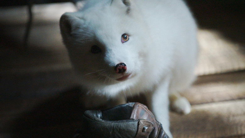 кадр из фильма Кина и Юк: Пушистые приключения