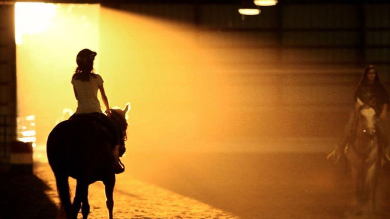 кадр из фильма A Horse Called Bear