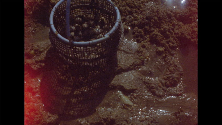 кадр из фильма Tatuado nos ollos levamos o pouso