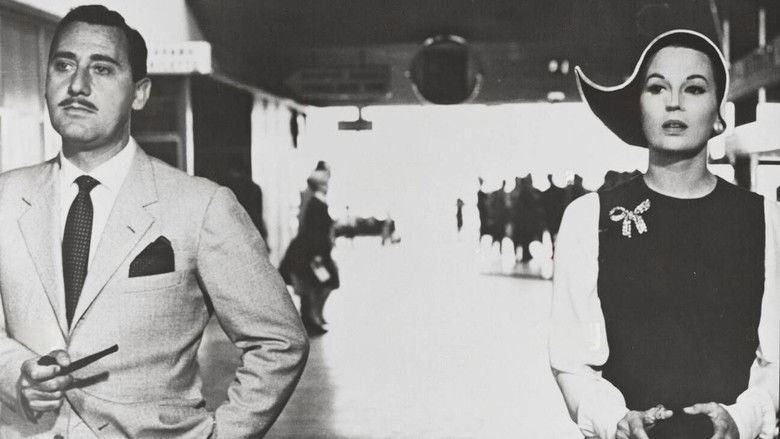 кадр из фильма Моя госпожа