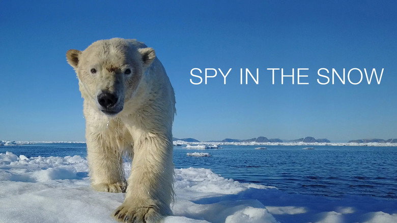 кадр из фильма Spy in the Snow