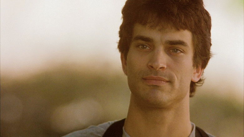 кадр из фильма The Giving Tree