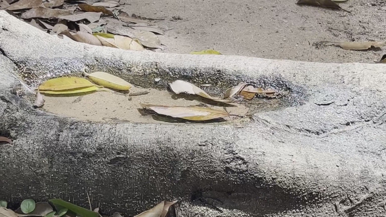 кадр из фильма เมืองล่ม