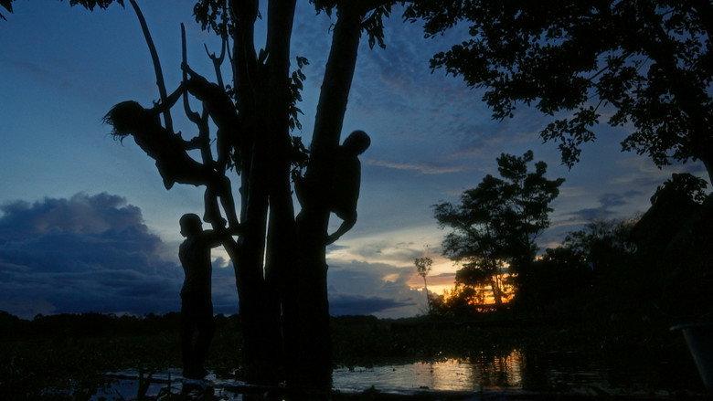 кадр из фильма Pies al revés