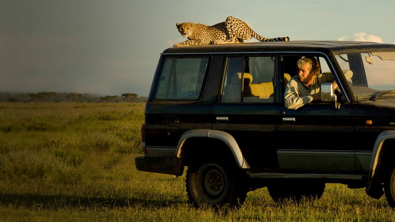 кадр из фильма Cat Wars: Lion vs. Cheetah