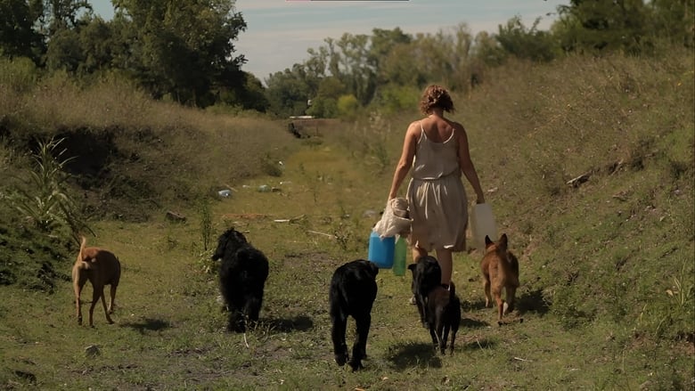 кадр из фильма La mujer de los perros