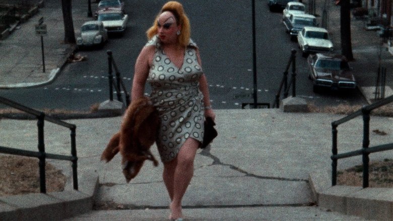 кадр из фильма Розовые фламинго