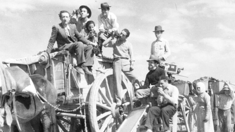 кадр из фильма La barra mendocina