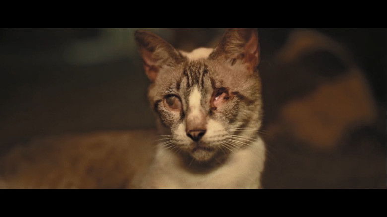 кадр из фильма Catty Bete