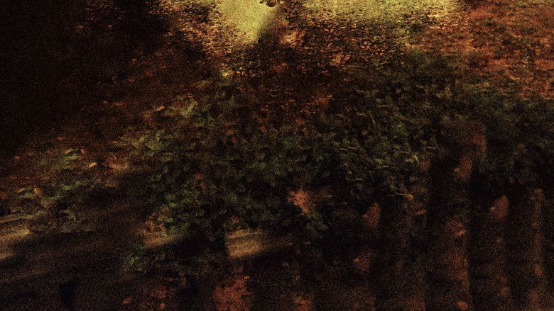 кадр из фильма Avesso