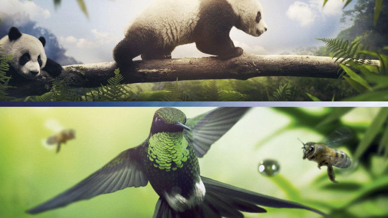 кадр из фильма Земля: Один потрясающий день