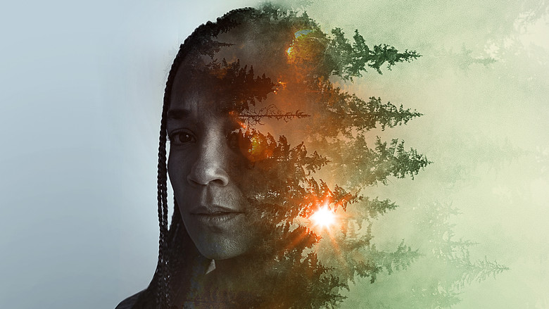 кадр из фильма Sheltering Season