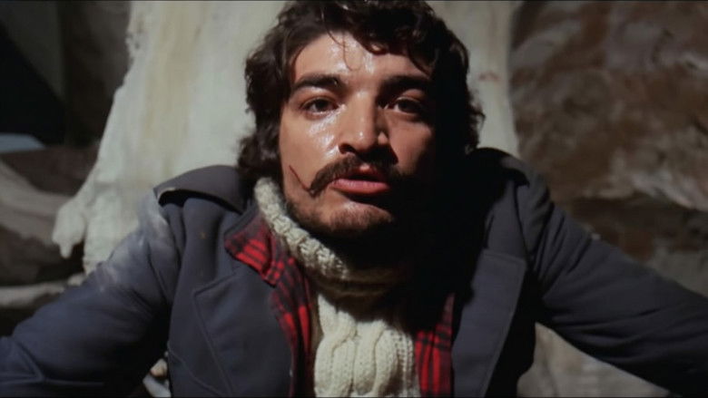 кадр из фильма Karateci Kız