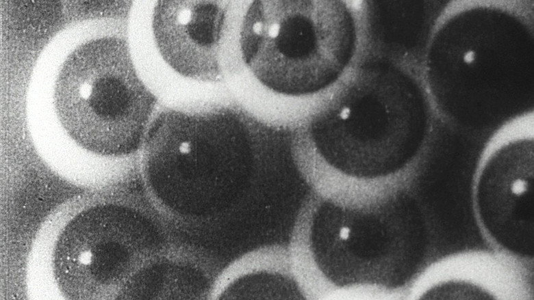 кадр из фильма Filmstudie